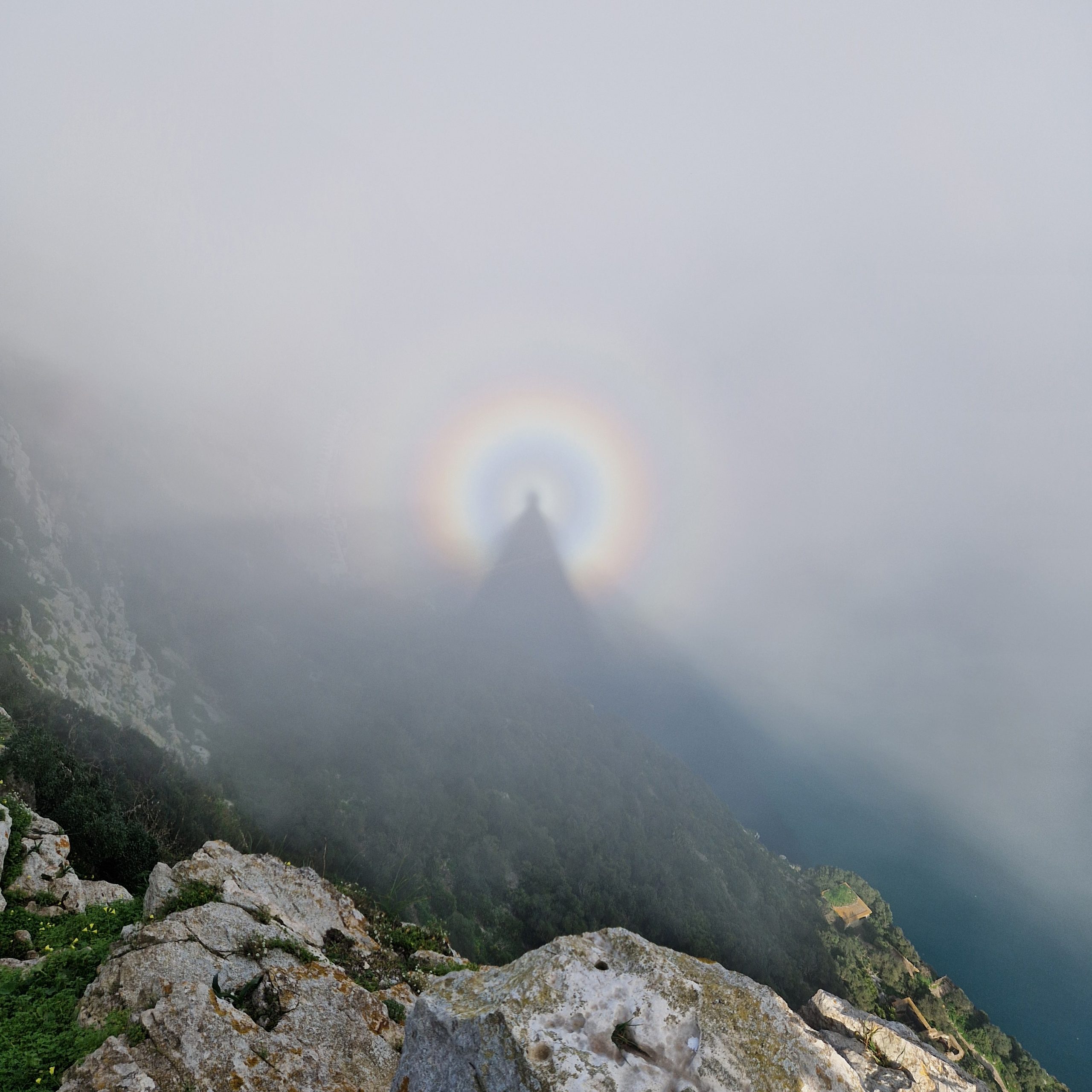 Silueta entre la niebla y la luz